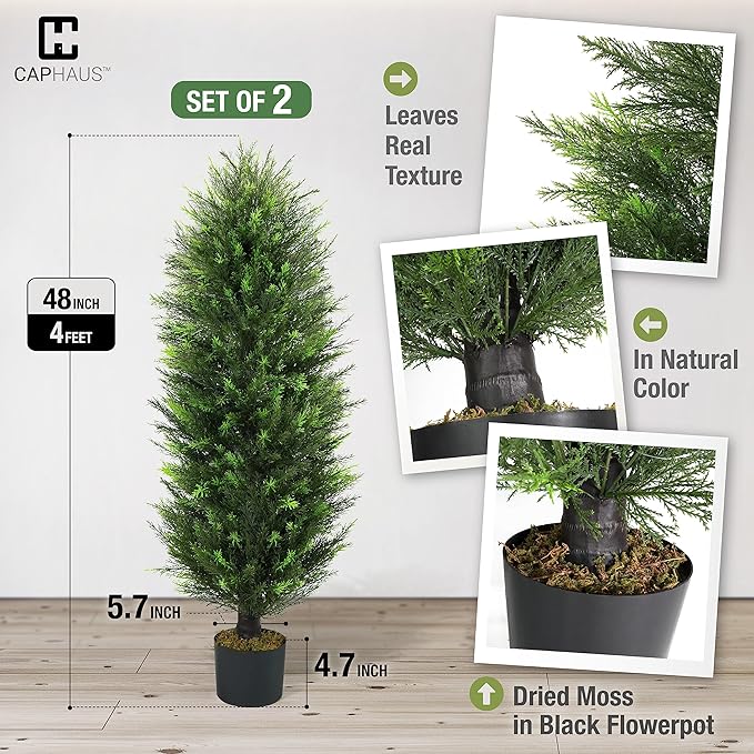 CAPHAUS 4 FT Artificial Cedar Tree Set of 2-48 Inch UV Resistant Faux Topiary Trees with Dried Moss for Indoor/Outdoor | Porch, Patio & Garden Decor