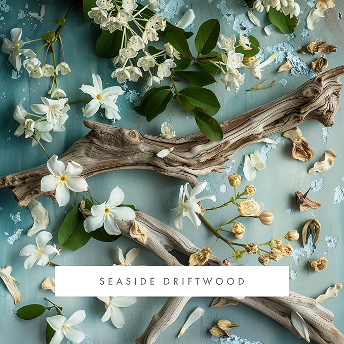 Monthly Fragrance Cartridge for Whisper Home - Seaside Driftwood