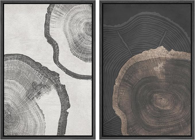 SIGNWIN Framed Canvas Print Wall Art Wood Tree Rings Abstract Illustrations Minimalist Modern Wall Art Neutral Boho Decor for Living Room, Bedroom, Office - 16"x24"x2 Black
