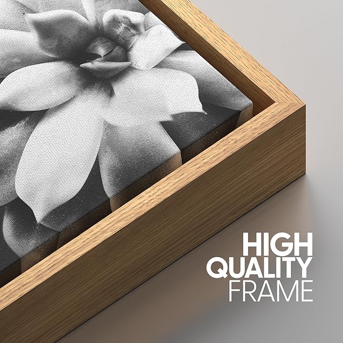 SIGNWIN Framed Wall Art Print Set Echeveria Succulent Variety Nature Plants Photography Modern Art Closeup Relax/Calm Dark Black and White for Living Room, Bedroom, Office - 16"x24"x3 Natural