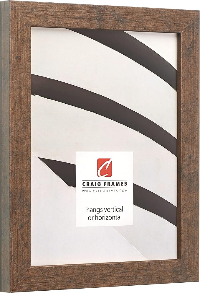 Craig Frames Essentials, Modern 1 Inch Wide 17 x 22 Inch Rustic Copper Picture Frame Matted to Display a 13 x 19 Inch Photo