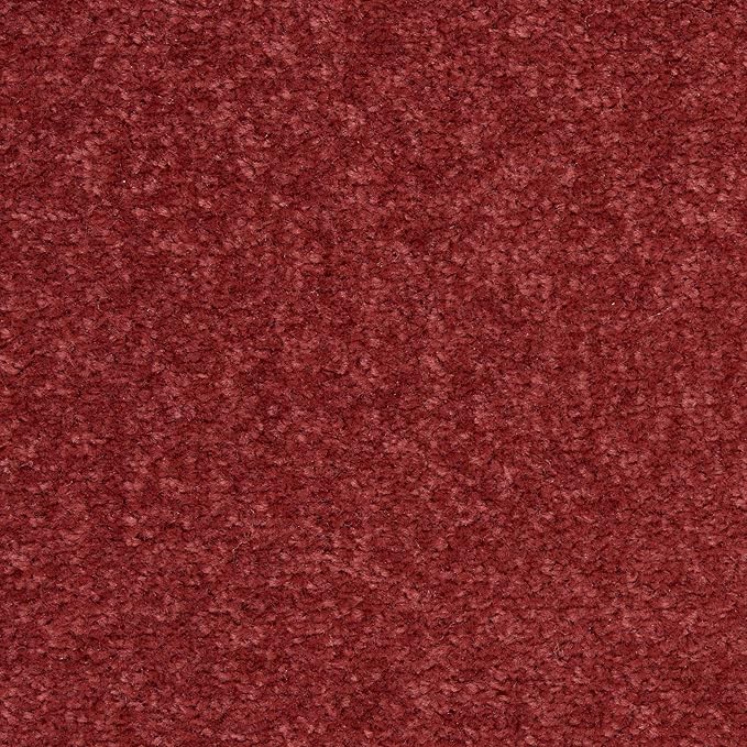 Nourison Essentials Indoor/Outdoor Brick Red 7' x 10' Area Rug, Easy Cleaning, Non Shedding, Bed Room, Living Room, Dining Room, Backyard, Deck, Patio (7x10)