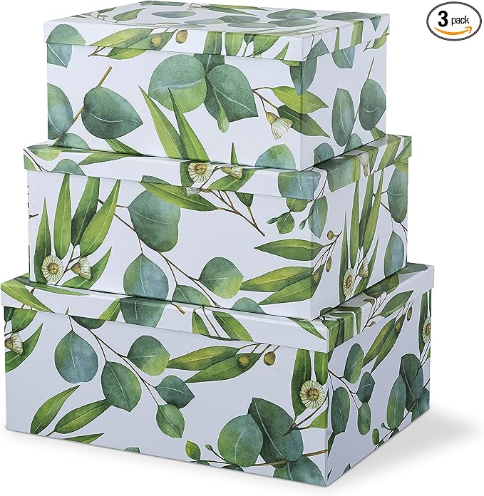 Soul & Lane Decorative Cardboard Storage Boxes with Lids for Home Decor and Organization, Set of 3 Large Keepsake Boxes for Memories & Gifts, Nesting Floral Photo Storage Containers, Sprigs Of Green