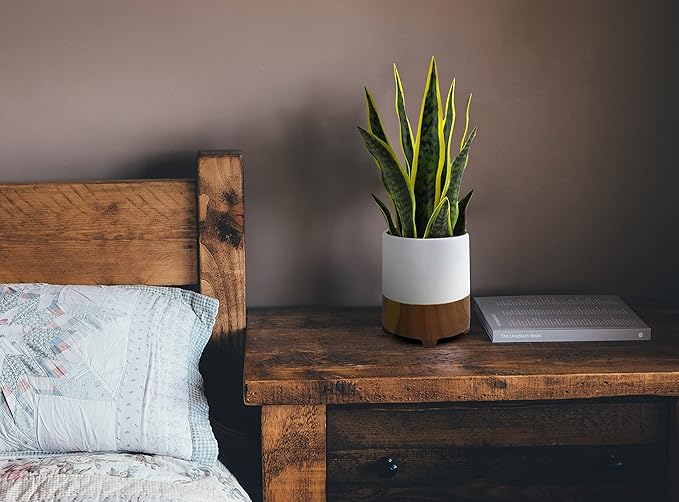 GreenBoxx 18" Artificial Snake Plant Sansevieria - Large Pot - Portable Faux Potted Snake Decor - Fake Green Indoor House Plant for Modern Home Decor, Window, Shelf - Mother in Law Tongue Plant
