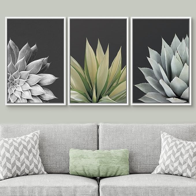 SIGNWIN Framed Canvas Print Wall Art Trio of Echevaria Succulents Floral Plants Photography Modern Art Minimalist Closeup Dramatic Black and White for Living Room, Bedroom, Office - 16"x24"x3 White