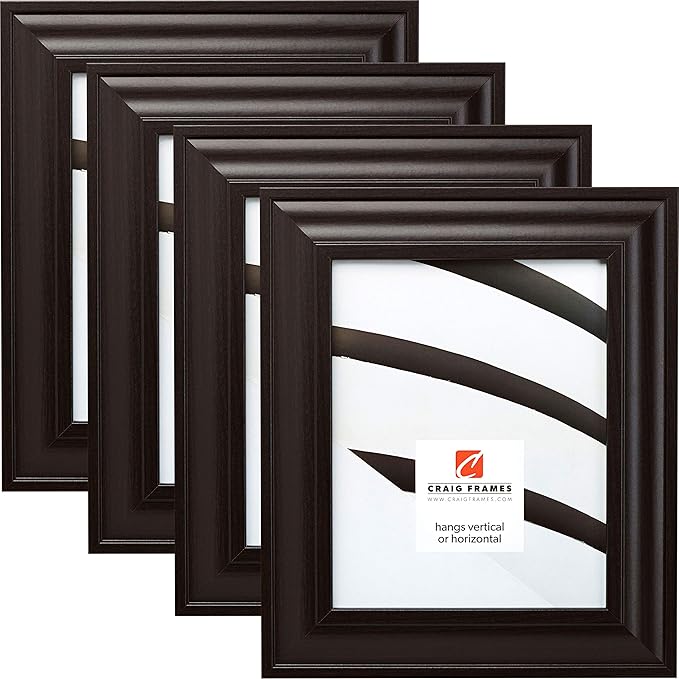 Craig Frames 76036 10 x 12 Inch Picture Frame, Contemporary Dark Brown, Set of 4