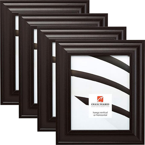 Craig Frames 76036 20 x 26 Inch Picture Frame, Contemporary Dark Brown, Set of 4
