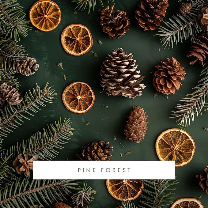 Monthly Fragrance Cartridge for Whisper Home - Pine Forest