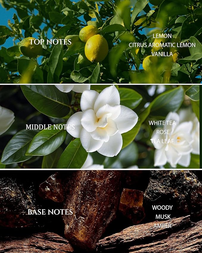 Aromadd Hotel Scents Diffuser Oil White Tea, Luxury Essential Oils for Waterless Diffuser, Aromatherapy Hotel Diffuser Oil for Home & Office, Long-Lasting Air Freshener - 6.76 fl oz (200 mL)