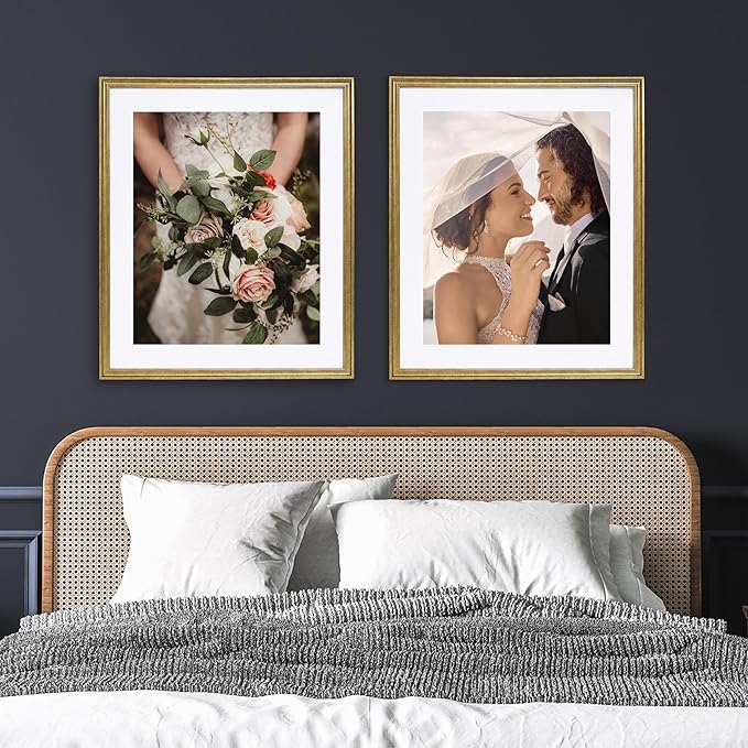 Camden Reed Set of Two Luxe Poster Frames Matted to 16x20 Inches, 20x24 Inch, Brass