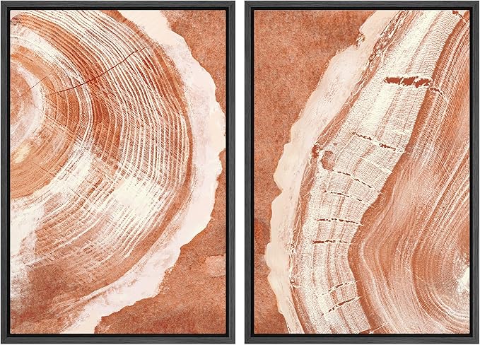 SIGNWIN Framed Canvas Print Wall Art Set Orange Closeup Wood Tree Ring Details Nature Wilderness Illustrations Modern Art Rustic Colorful Ultra for Living Room, Bedroom, Office - 24"x36"x2 Black