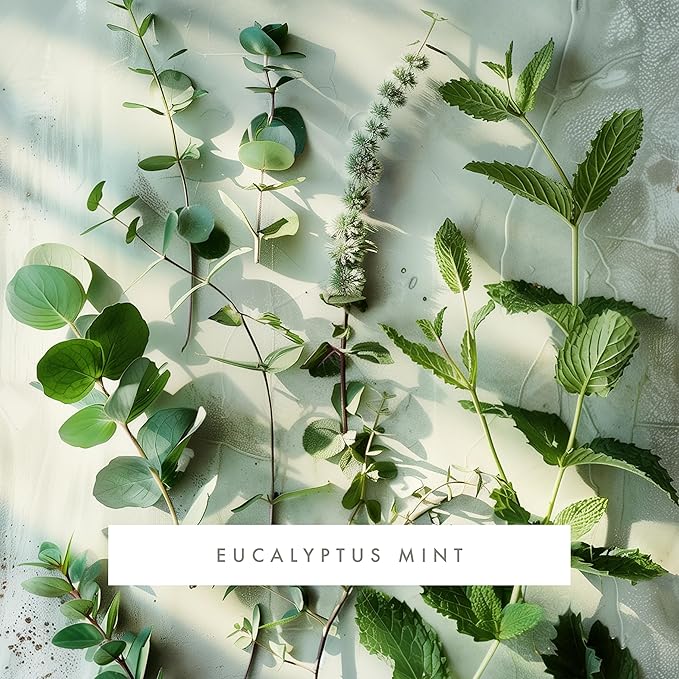 Monthly Fragrance Cartridge for Whisper Home - Eucalyptus Mint