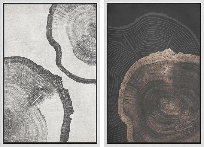 SIGNWIN Framed Canvas Print Wall Art Wood Tree Rings Abstract Illustrations Minimalist Modern Wall Art Neutral Boho Decor for Living Room, Bedroom, Office - 16"x24"x2 White