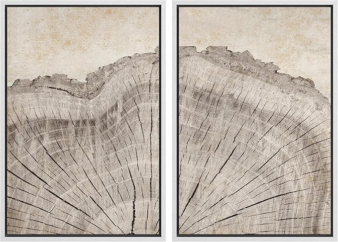 MUDECOR Framed Canvas Print Wall Art Oak Wood Tree Rings Nature Illustration Modern Art Decorative Multicolor Geometric Minimal for Bedroom - 24"x36"x2 White