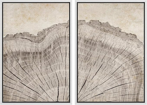 MUDECOR Framed Canvas Print Wall Art Oak Wood Tree Rings Nature Illustration Modern Art Decorative Multicolor Geometric Minimal for Bedroom - 24"x36"x2 White